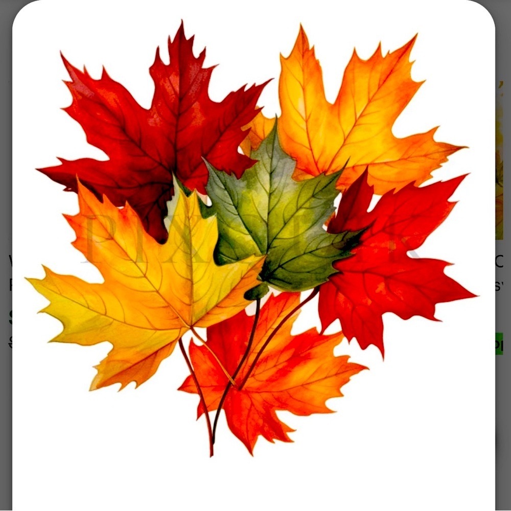 Last Chance! Children’s Fall/Winter And Long Sleeved Clothing To Be Moved Out